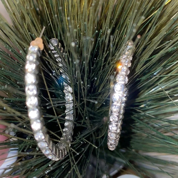 Faux bling rhinestone fashion hoops earrings - Picture 4 of 12